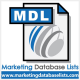 Global IT executives database list